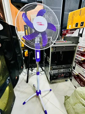 Anco Crown Fan16 Size {_Purple_}