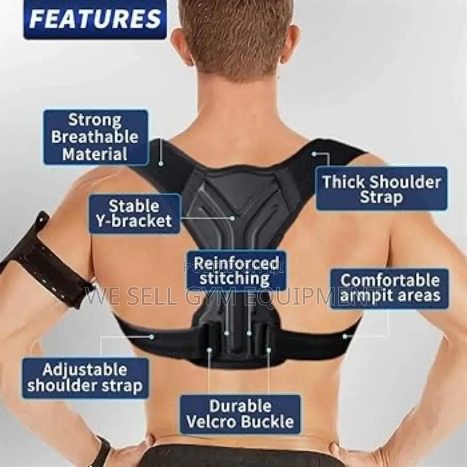 Back Support