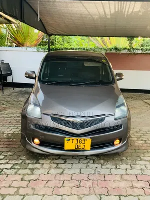 Toyota Ractis 2005 Gray