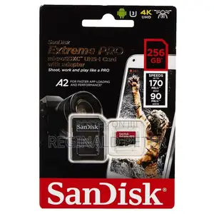 Memory Card 256 Gb