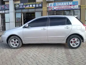 Toyota Allex 2005 Silver
