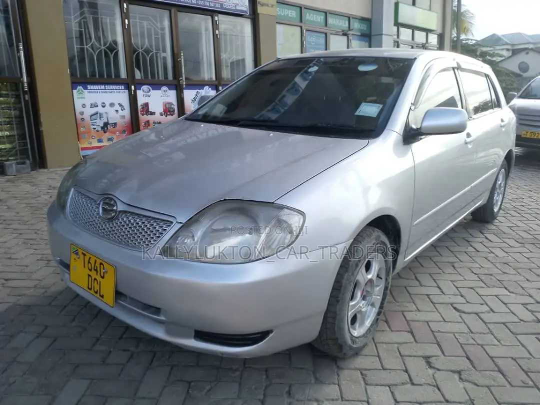Toyota Allex 2005 Silver