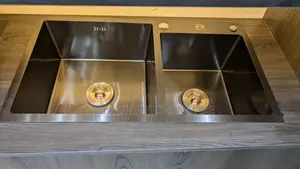 Homebase Built In Dual Kitchen Sinks
