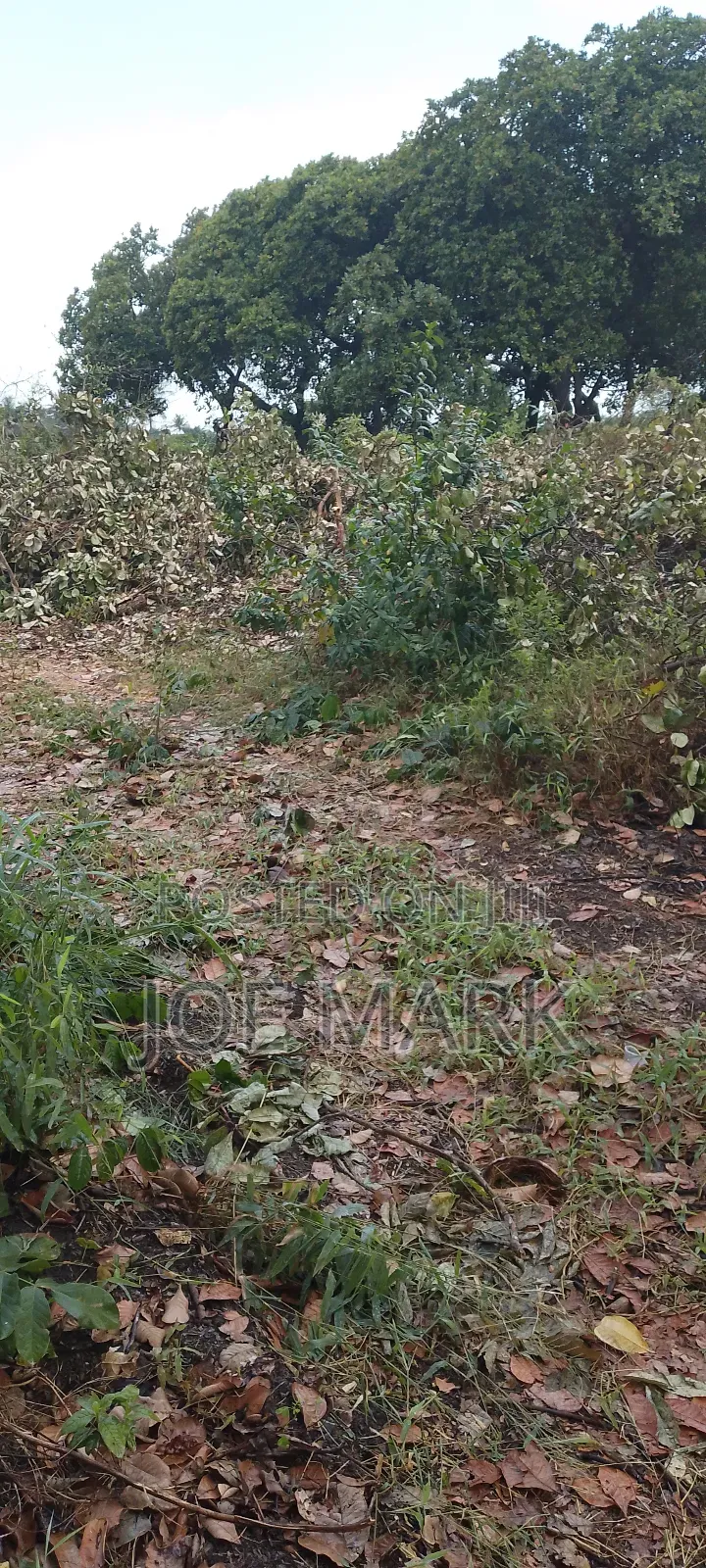 Kiwanja Kinauzwa Kibaha Visiga