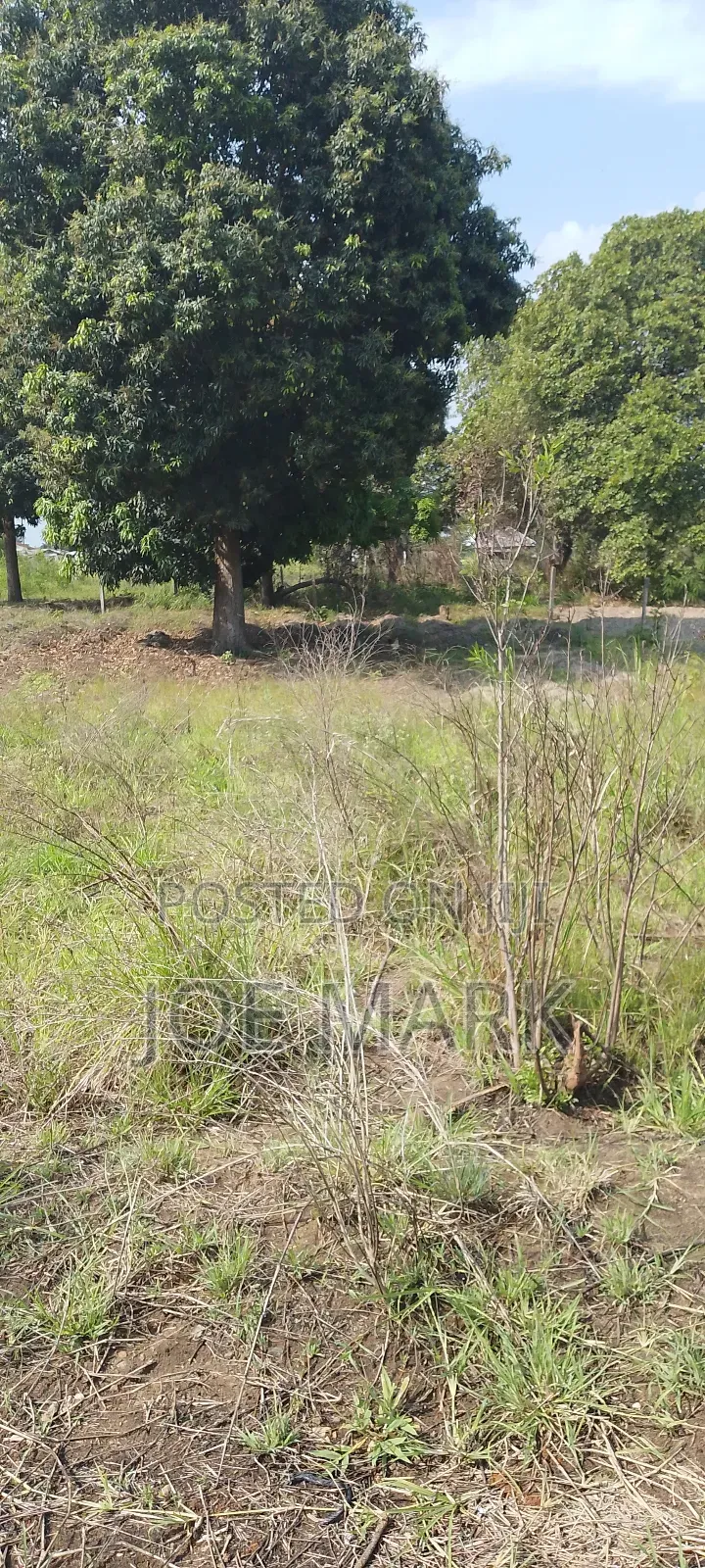 Plot for Sale at Kibaha