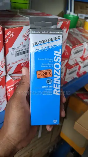Reinzosil Gasket Maker