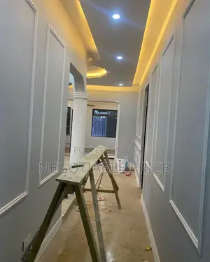 Professional Installer and 3D Wall Moulding Experts