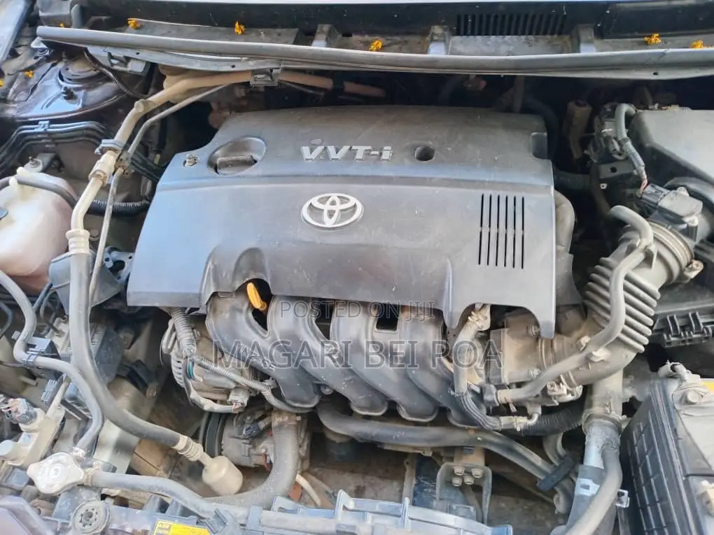 Toyota Premio 2005 Brown