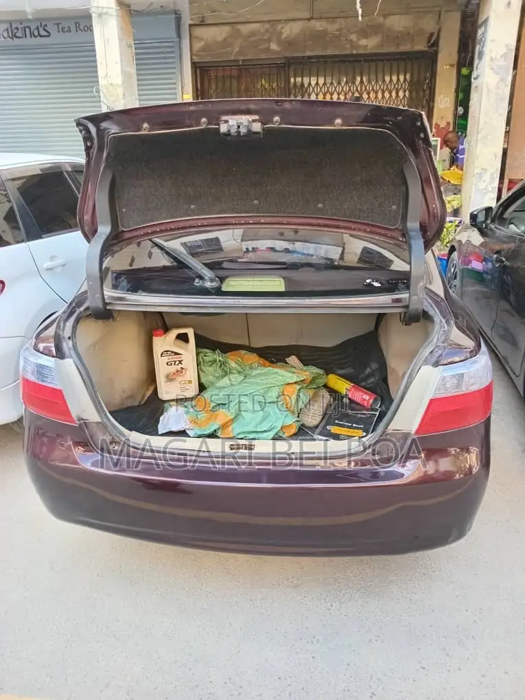 Toyota Premio 2005 Brown