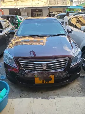 Toyota Premio 2005 Brown