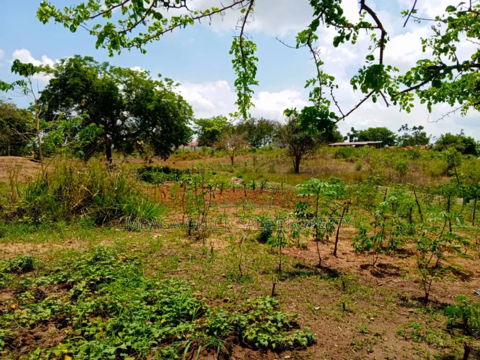 School for Sale at Mbezi Beach Mpiji Magohe
