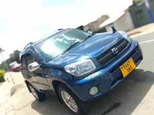 Toyota RAV4 2004 Blue