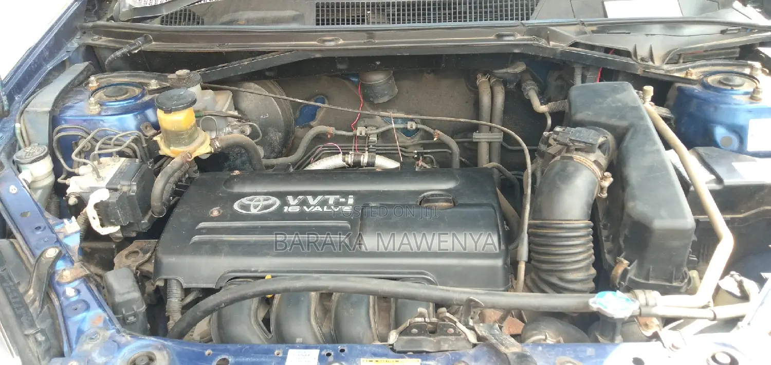 Toyota RAV4 2004 Blue