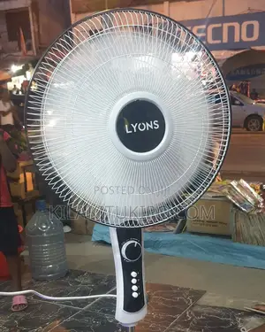 Lyons Standing Fan