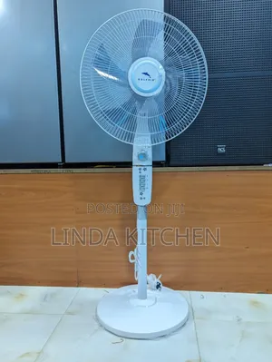 Dolphin Fan 18"