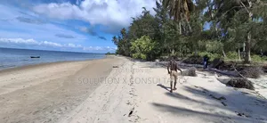Beach Plot for Sale at Mafia Kitoni