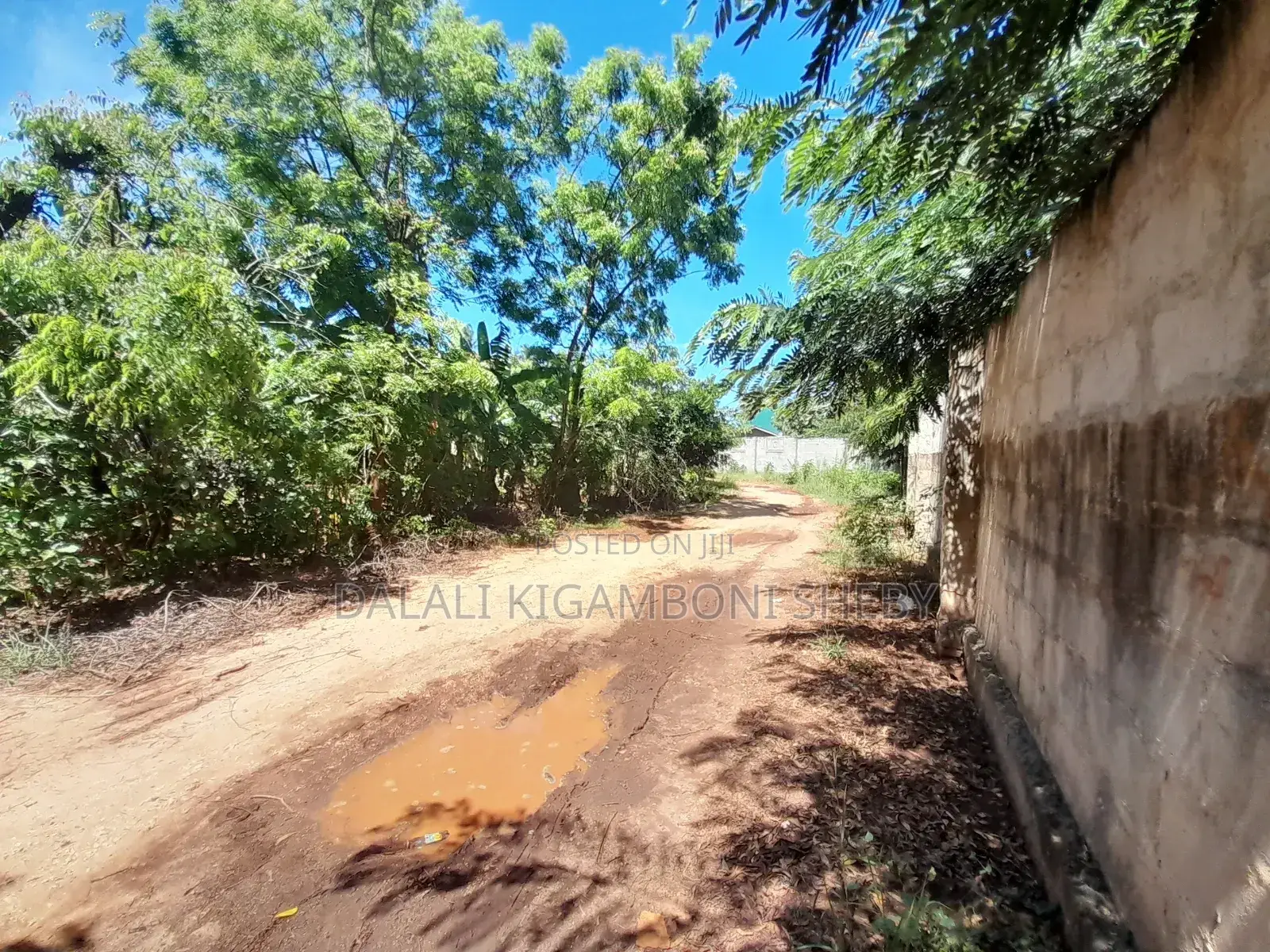 Eneo Linauzwa Kigamboni Maweni