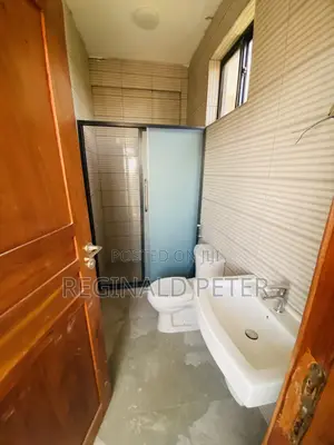 1bdrm Apartment in Dsm Expat Conect, Kinondoni for rent