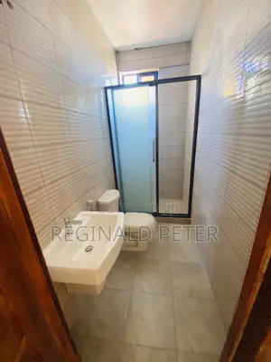 1bdrm Apartment in Dsm Expat Conect, Kinondoni for rent