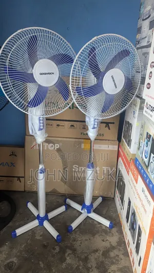 Goodvision Fan,