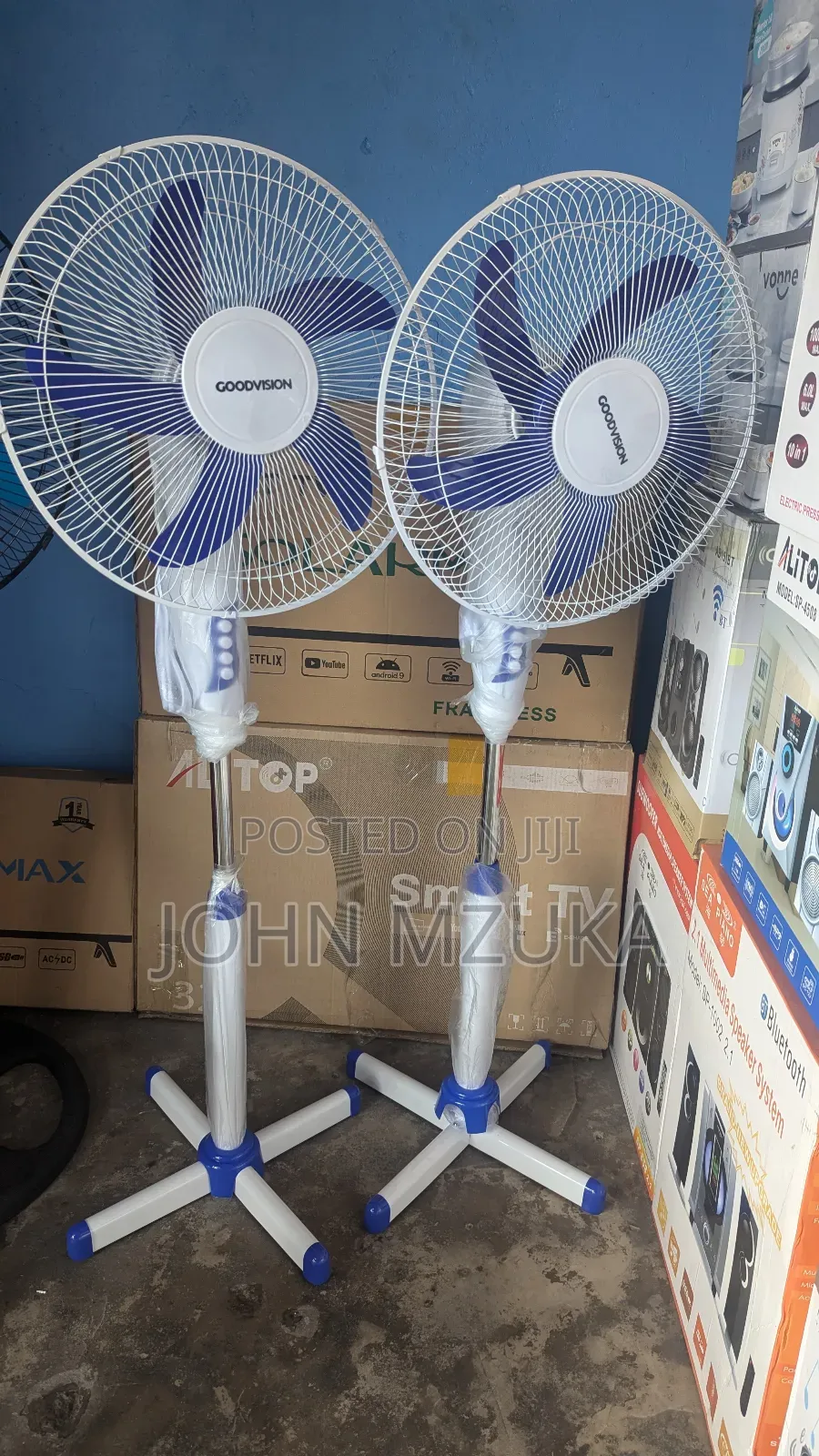Goodvision Fan,