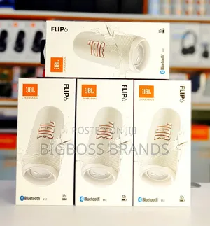 JBL Flip 6