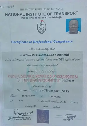 Car Driver Job