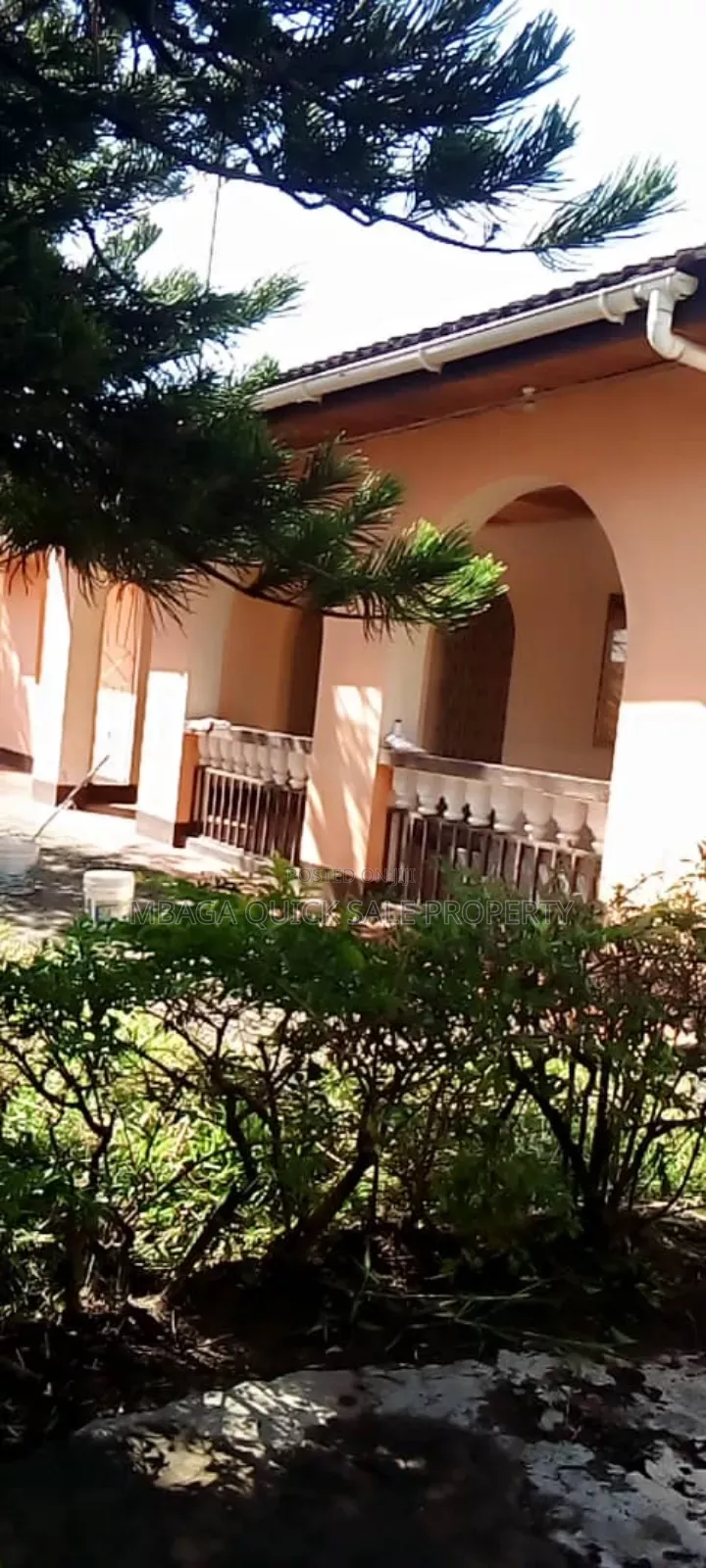 3bdrm House in Mikocheni Rose for rent