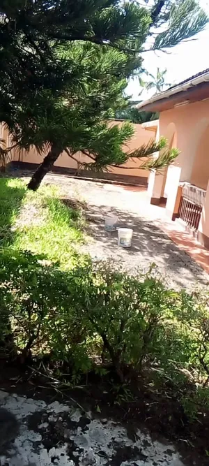 3bdrm House in Mikocheni Rose for rent