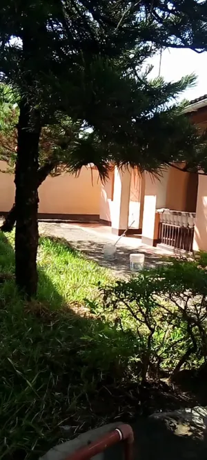 3bdrm House in Mikocheni Rose for rent