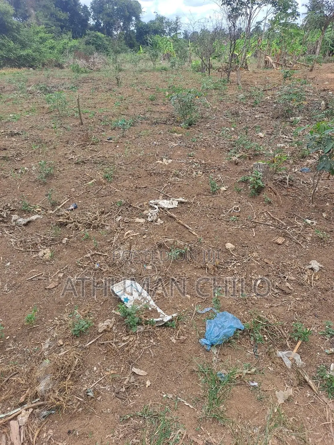Shamba Linauzwa Kiwangwa Bagamoyo Pwani