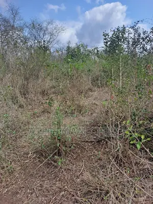 Shamba Linauzwa Kiwangwa Bagamoyo Pwani