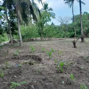 Shamba Linauzwa Madafu Visiga Pwani