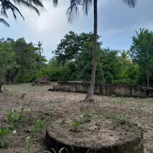 Shamba Linauzwa Madafu Visiga Pwani