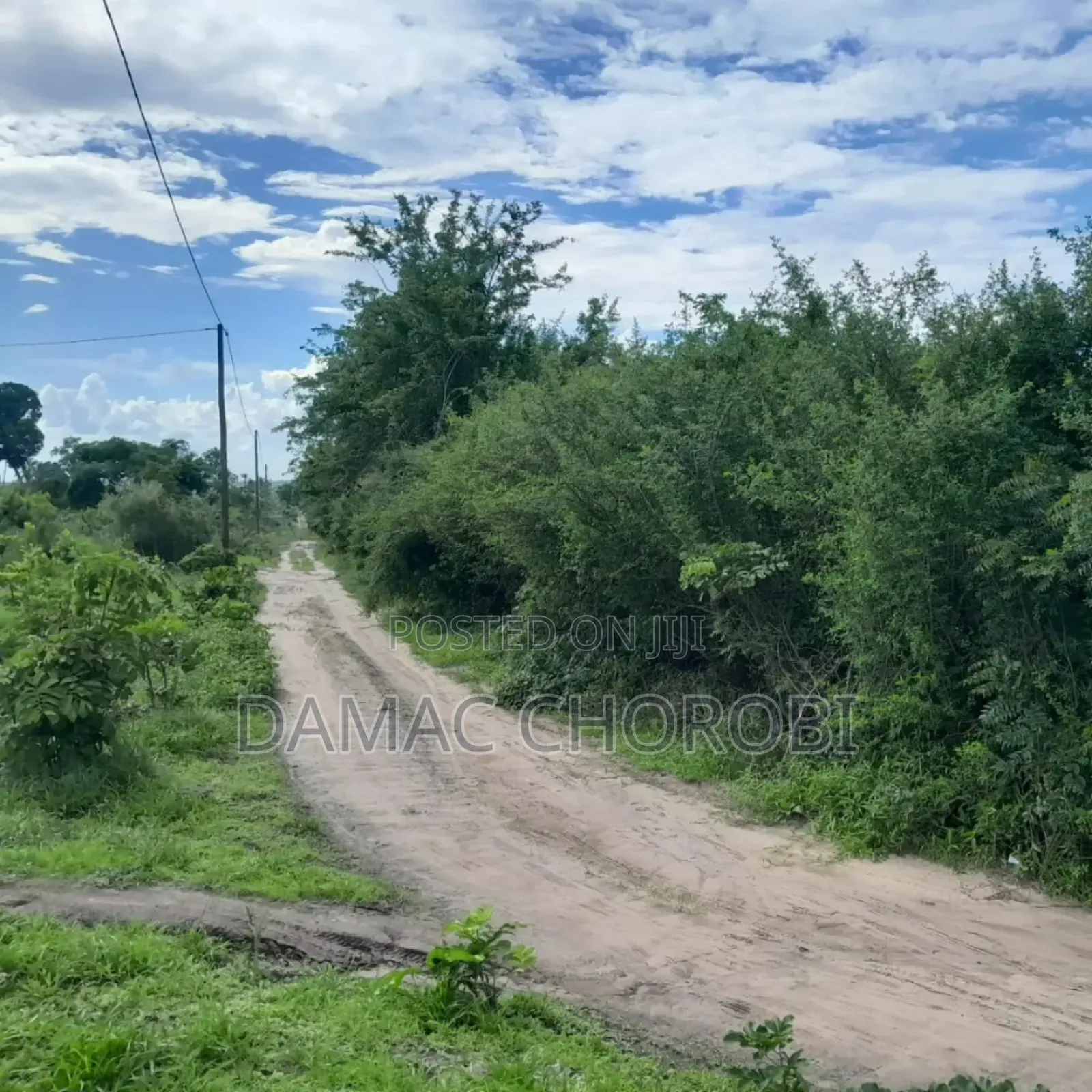 Shamba Linauzwa Madafu Visiga Pwani