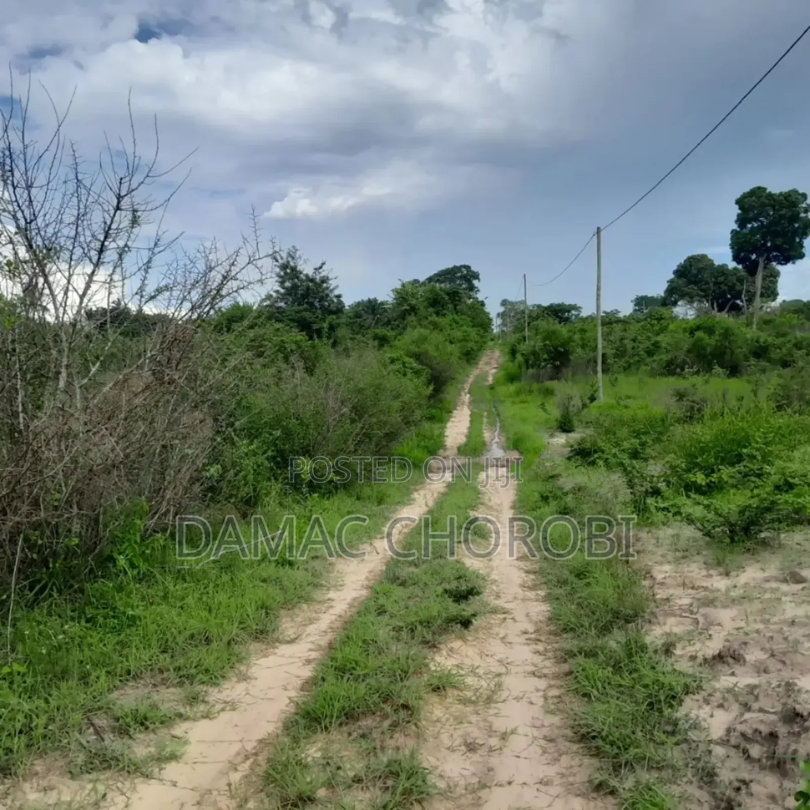 Shamba Linauzwa Madafu Visiga Pwani