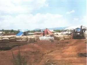 Nyamatagata: Geological Surveyed Gold Mine for Sale - Geita