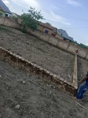 Viwanja Vinauzwa Vwawa