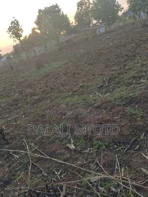 Viwanja Vinauzwa Vwawa