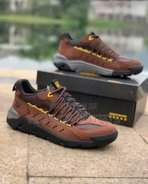 Pure Cat Shoes/Footwears