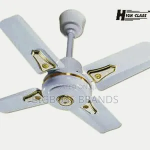 Hiqh Class Ceilling Fan Size 24