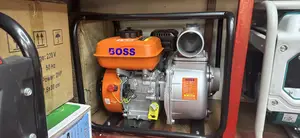 Boss Water Pump