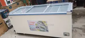 Snowsea Showcase Freezer 600L