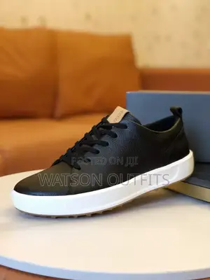Ecco Nice Looking Shoes/Footwears