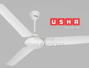 Usher Celing Fan 36