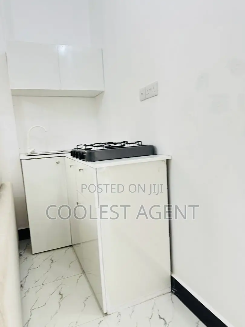 Furnished 1bdrm Apartment in Mikocheni, Kinondoni for rent