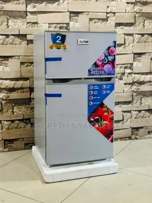 Friji Alyons Liter 100