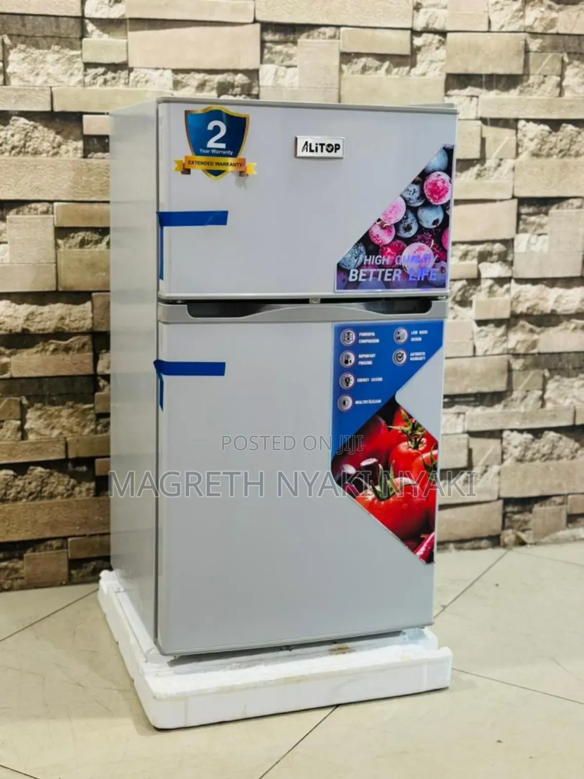 Friji Alyons Liter 100