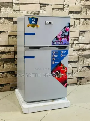 Friji Alyons Liter 100