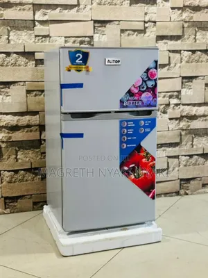 Friji Alyons Liter 100